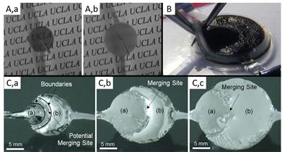 hydrogel soft robotics