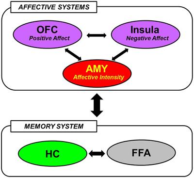 Frontiers Emerging Directions In Emotional Episodic Memory Psychology