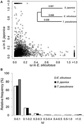 Frontiers Identification Of Genes Under Positive Selection