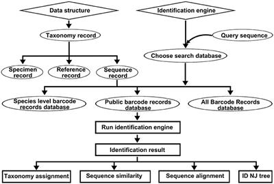 frontiers bokp a dna barcode reference library for monitoring