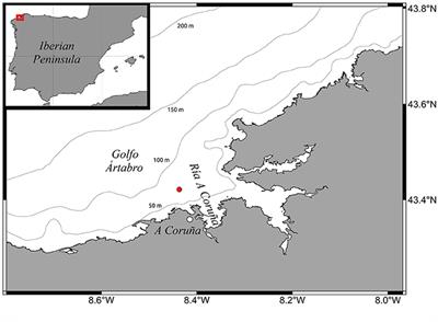 Wordens Pond Depth Chart