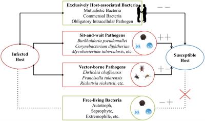 Pathogenic Organism Chart