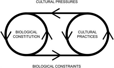 kerne slutningen vogn Frontiers | Affordances and Landscapes: Overcoming the Nature–Culture  Dichotomy through Niche Construction Theory | Psychology