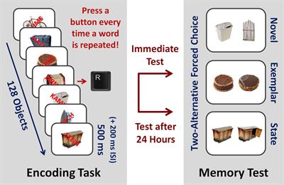 Short-term visual memory training - Key To Study