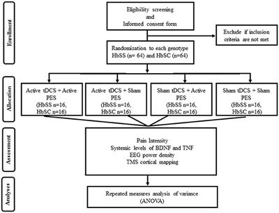 Frontiers Does Transcranial Direct Current Stimulation