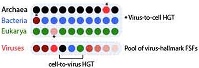 frontiers do viruses exchange genes across superkingdoms archaea bacteria eukarya venn diagram