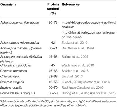 Imperial Organic Yeast Comparison Chart