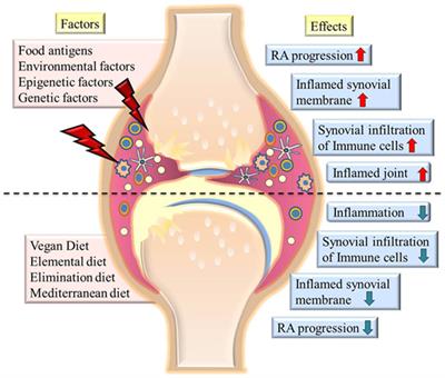 Indian Diet Chart For Rheumatoid Arthritis Patient