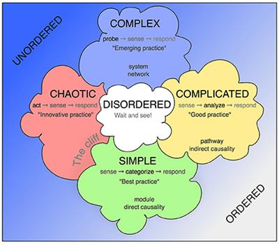 How Experts Make Complex Decisions