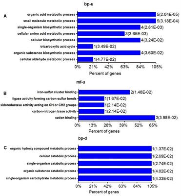 Frontiers Alanine Enhances Aminoglycosides Induced ROS