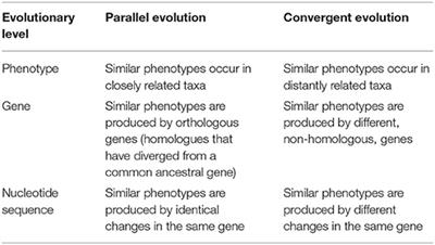 Frontiers | Parallel vs. Convergent Evolution in Domestication and  Diversification of Crops in the Americas