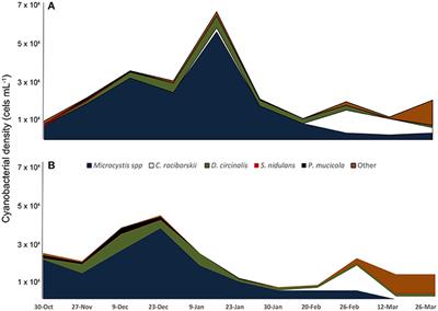 Frontiers Close Link Between Harmful Cyanobacterial Dominance