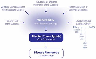 Impaired Autophagy in the Lipid-Storage Disorder Niemann-Pick Type C1  Disease - ScienceDirect