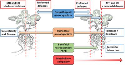 Frontiers  The root signals in rhizospheric inter-organismal