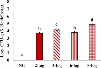 Frontiers Effect Of Various Inoculum Levels Of Multidrug Resistant Salmonella Enterica Serovar Heidelberg 11 Ground Turkey Outbreak Isolate On Cecal Colonization Dissemination To Internal Organs And Deposition In Skeletal Muscles Of Commercial
