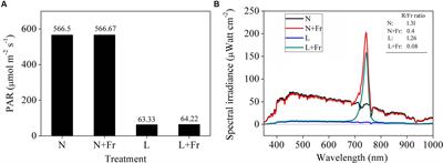 Frontiers Auxin To Gibberellin Ratio As A Signal For Light Intensity And Quality In Regulating Soybean Growth And Matter Partitioning Plant Science Frontiers Auxin To Gibberellin Ratio As A Signal For Light Intensity And Quality In Regulating Soybean Growth And Matter Partitioning Plant Science