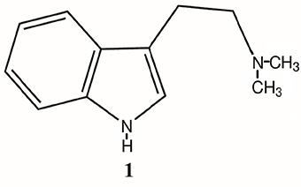 Frontiers | N, N-Dimethyltryptamine (DMT), an Endogenous Past, Present, and Research Determine Its Role and Function