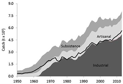 Who Brings in the Fish? The Relative Contribution of ... - Frontiers