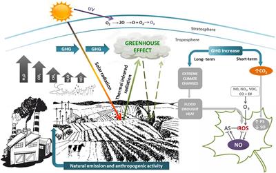 Frontiers Climate Change And The Impact Of Greenhouse Gasses Co2 And No Friends And Foes Of Plant Oxidative Stress