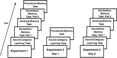 Frontiers | Procedural-Memory, Working-Memory, and Declarative-Memory  Skills Are Each Associated With Dimensional Integration in Sound-Category  Learning