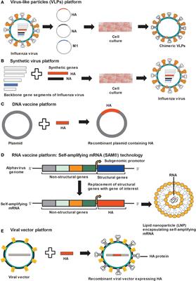 Frontiers | Novel Platforms for the Development of a ... gene vs dna vs rna diagram 