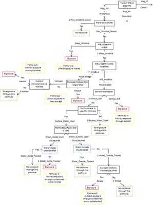 Frontiers | Low Pathogenic Avian Influenza Exposure Risk Assessment in ...