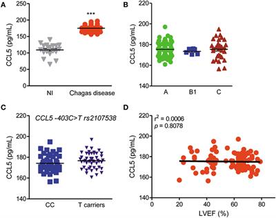 Frontiers Genetic Polymorphism At Ccl5 Is Associated With