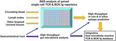 immune repertoire capture stanford nature biotech