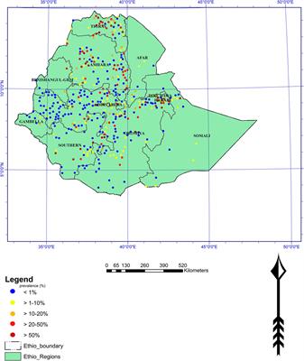 Prevalence of urogenital schistosomiasis. Urogenital schistosomiasis