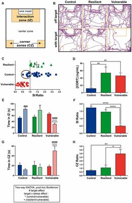 Frontiers  Experimental Social Stress: Dopaminergic Receptors, Oxidative  Stress, and c-Fos Protein Are Involved in Highly Aggressive Behavior