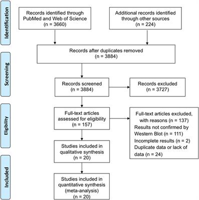 Rapid Hiv Test Accuracy Chart