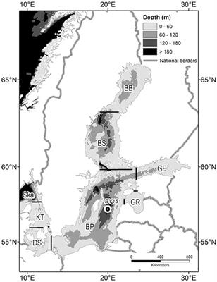Frontiers Large Scale Nutrient Dynamics In The Baltic Sea