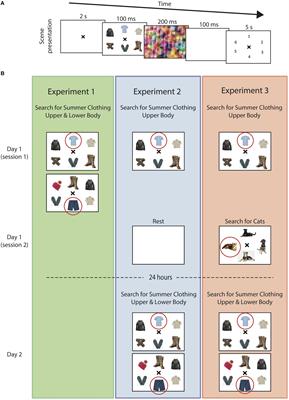 Short-term visual memory training - Key To Study