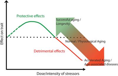 Frontiers | The Continuum Of Aging And Age-Related Diseases: Common  Mechanisms But Different Rates