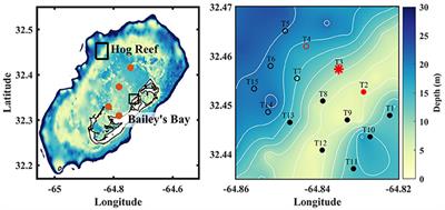 frontiers coral reef carbonate chemistry variability at different