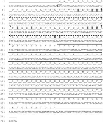 Frontiers Identification Expression And Regulation Of An Omega Class Glutathione S Transferase In Rhopalosiphum Padi L Hemiptera Aphididae Under Insecticide Stress Physiology