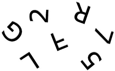 Frontiers Mirror Image Equivalence And Interhemispheric Reversal Human Neuroscience Interhemispheric Mirror Image Reversal, What Does The Word Mirror Image Mean