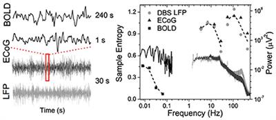 Frontiers Neurophysiological Basis Of Multi Scale Entropy - 