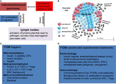 Frontiers | Approaches in Immunotherapy, Regenerative Medicine, and ...