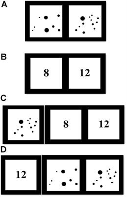 Frontiers Children S Non Symbolic And Symbolic Numerical Representations And Their Associations With Mathematical Ability Psychology Frontiers Children S Non Symbolic And Symbolic Numerical Representations And Their Associations With Mathematical Ability Psychology