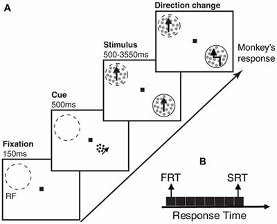 Frontiers | Neural Activity Predicts Reaction in Primates Long Before a ...