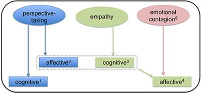 Cognitive Empathy vs. Emotional Empathy