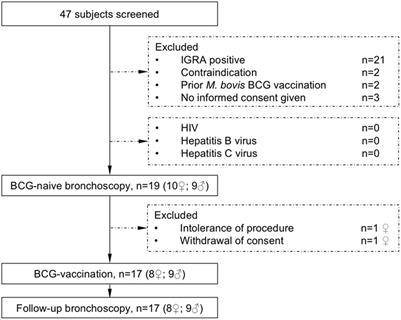 Frontiers Mycobacterium Growth Inhibition Assay Of Human Alveolar Macrophages As A Correlate Of Immune Protection Following Mycobacterium Bovis Bacille Calmette Guerin Vaccination Immunology