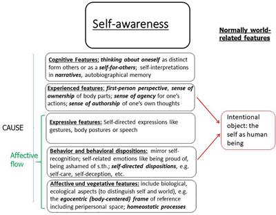 Frontiers The Embodied Self The Pattern Theory Of Self And The Predictive Mind Psychology