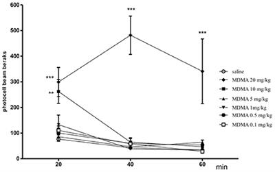 mdma effects on the body