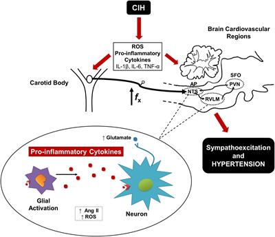 stress induced hedonic dysfunction stress induced hedonic dysfunction