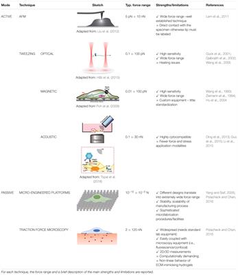 Characterisation of physical and mechanical properties of seven particulate  materials proposed as traction enhancers