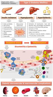 diabetes 2 stress)