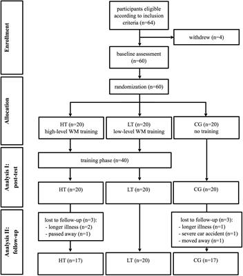 Executive Function Not Panacea For >> Frontiers Wome Theory Based Working Memory Training A Placebo Executive Function Not Panacea For >> Frontiers Wome Theory Based Working Memory Training A Placebo