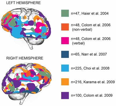 Integrated Intelligence from Distributed Brain Activity: Trends in  Cognitive Sciences